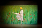 Ballet Vincent van de sterren van het Bolshoi Ballet
