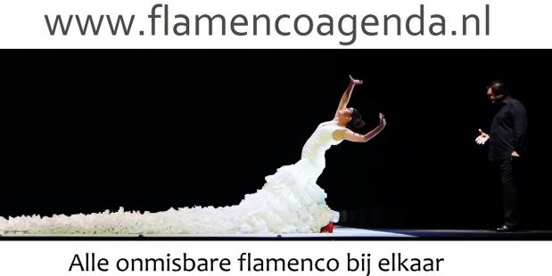 Flamenco is dé uitdaging voor iedere danser