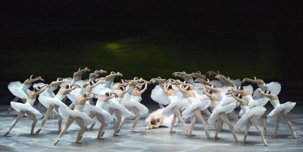 Zwanen dansen Het Zwanenmeer van Tchaikovsky