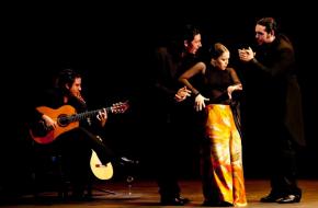 Flamencotalent Rocío Molina eenmalig in Nederland