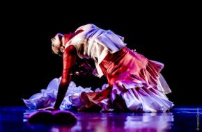 Dansfestival Flamenco Biënnale van start