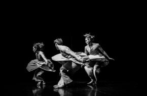 © Stichting Nishant Bhola | World of Dance 